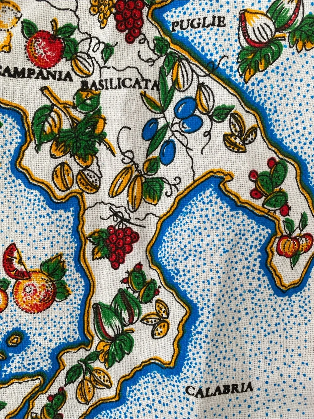 Italian Map Illustration Kitchen Towel / Tapestries 22 x 33 inches NWOT